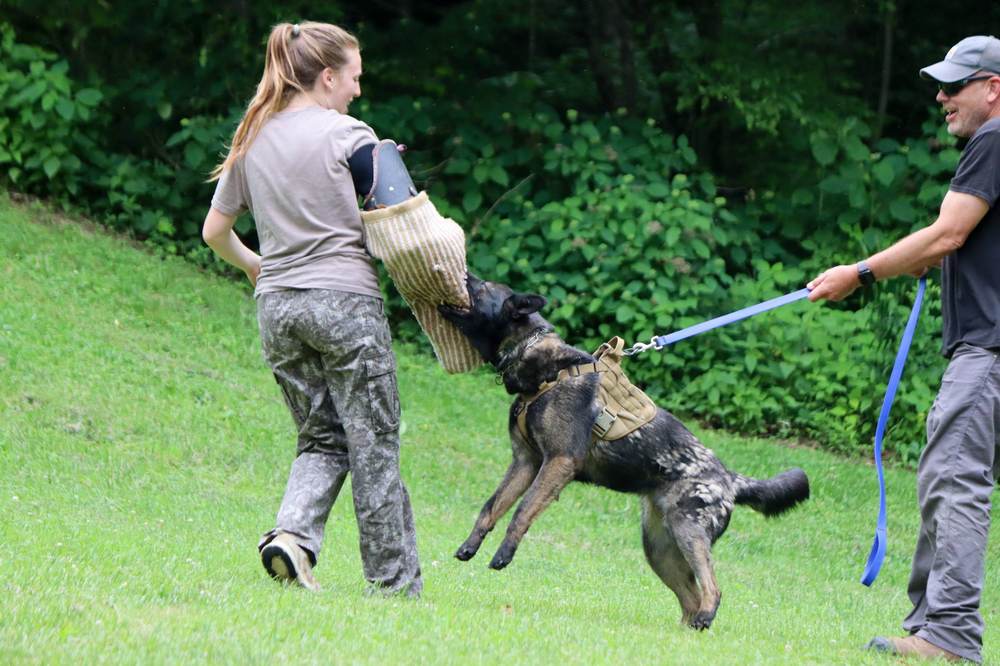 Canine Crony training session photo 5