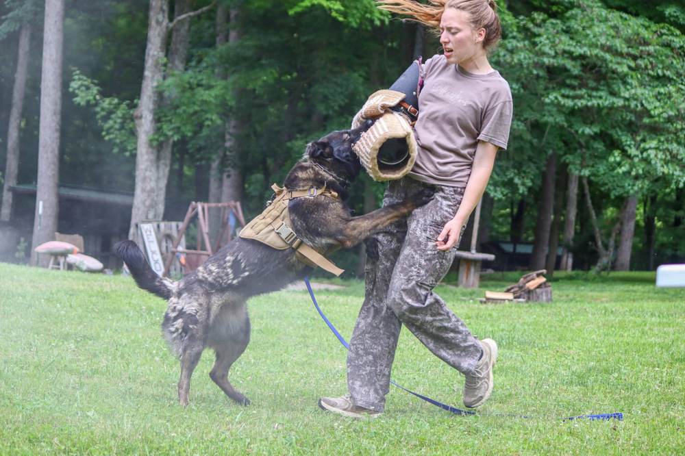 Canine Crony training session photo 11