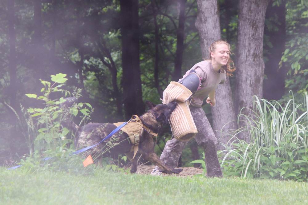 Canine Crony training session photo 15