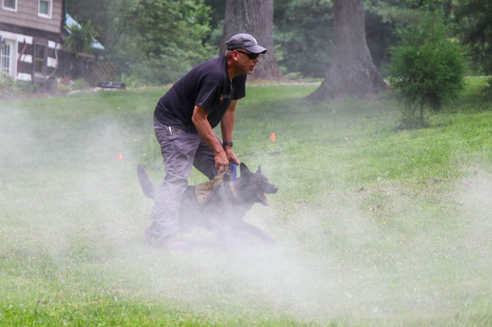 Canine Crony training session photo 7