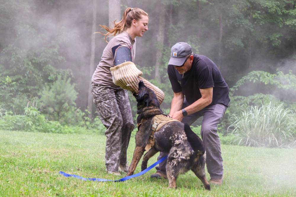Canine Crony training session photo 16