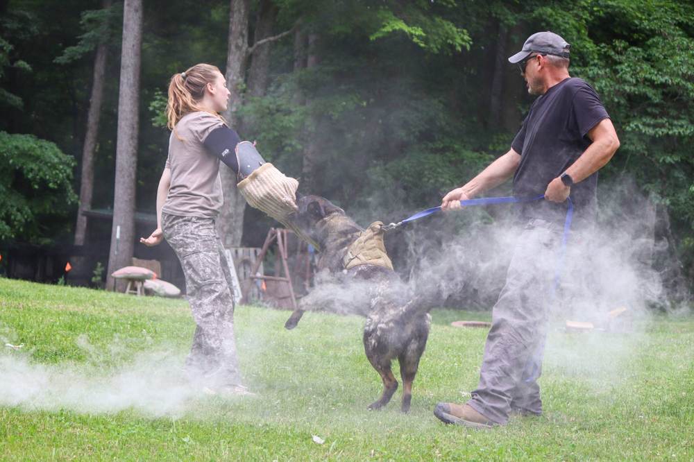 Canine Crony training session photo 12