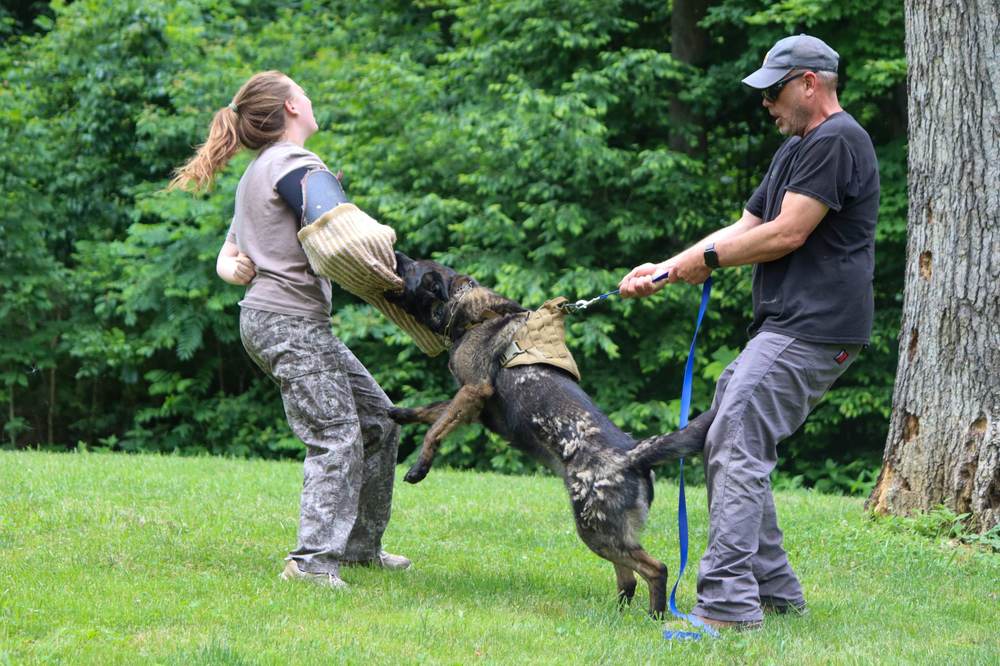 Canine Crony training session photo 8